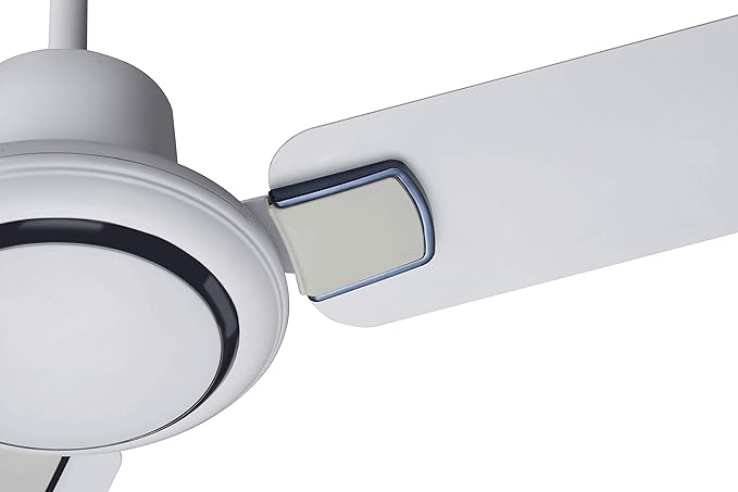 Bajaj Regal Gold Nxg 1200 Mm Ceiling Fan Duck White